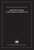 Regulation Strategies in the European Economic Area (eBook, PDF)