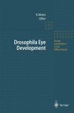 Drosophila Eye Development (eBook, PDF)