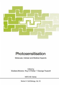 Cover Photosensitisation (eBook, PDF)