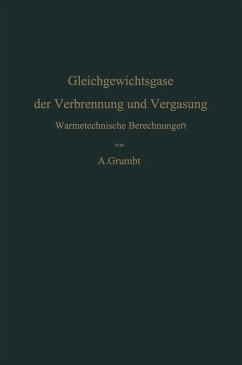 Cover Gleichgewichtsgase der Verbrennung und Vergasung (eBook, PDF)
