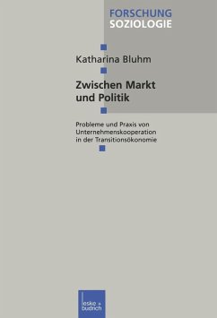 Zwischen Markt und Politik (eBook, PDF) - Bluhm, Katharina