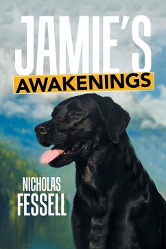 Cover Jamie'S Awakenings (eBook, ePUB)