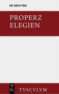 Cover Elegien (eBook, PDF)