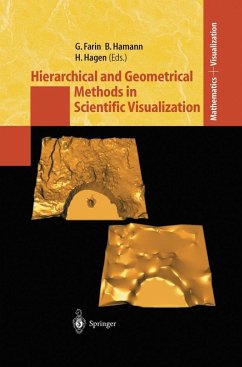 Hierarchical and Geometrical Methods in Scientific Visualization (eBook, PDF)