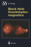 Black Hole Gravitohydromagnetics (eBook, PDF)