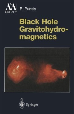 Black Hole Gravitohydromagnetics (eBook, PDF) Cover Black Hole Gravitohydromagnetics (eBook, PDF)
