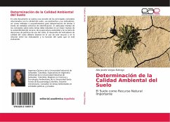 Determinación de la Calidad Ambiental del Suelo - Vargas Buitrago, Alba Josefa