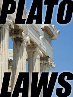 Cover Laws (eBook, ePUB)