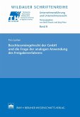 Beschlussmängelrecht der GmbH und die Frage der analogen Anwendung des Freigabeverfahrens (eBook, PDF)