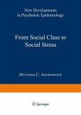 From Social Class to Social Stress (eBook, PDF)