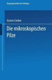 Die mikroskopischen Pilze (eBook, PDF)