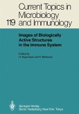 Images of Biologically Active Structures in the Immune System (eBook, PDF)