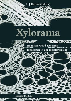Xylorama (eBook, PDF) - Kucera