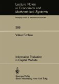Information Evaluation in Capital Markets (eBook, PDF)