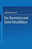 Der Bernstein und Seine Einschlüsse (eBook, PDF)