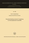 Chemische Reaktionen bei der Verarbeitung von thermoplastischen Kunststoffen (eBook, PDF)