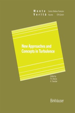 New Approaches and Concepts in Turbulence (eBook, PDF)