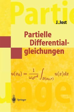 Partielle Differentialgleichungen (eBook, PDF) - Jost, Jürgen