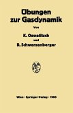 Übungen zur Gasdynamik (eBook, PDF)