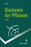 Biochemie der Pflanzen (eBook, PDF)