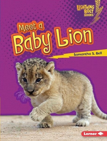 Meet a Baby Lion (eBook, PDF)