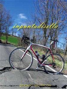 Inpuntadisella (fixed-layout eBook, ePUB) - Majavacchi, Graziano