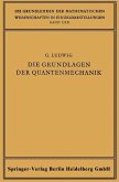 Die Grundlagen der Quantenmechanik (eBook, PDF)