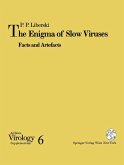 The Enigma of Slow Viruses (eBook, PDF)