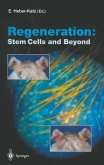 Regeneration: Stem Cells and Beyond (eBook, PDF)