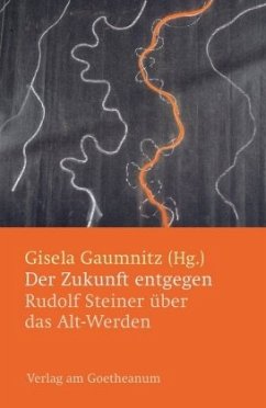 Der Zukunft entgegen - Gaumnitz, Gisela