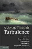 Voyage Through Turbulence (eBook, PDF)