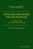 Zwischen Provinzen und Metropolen (eBook, PDF)