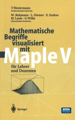 Cover Mathematische Begriffe visualisiert mit Maple V (eBook, PDF)