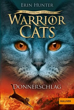 Donnerschlag / Warrior Cats Staffel 5 Bd.2 - Hunter, Erin