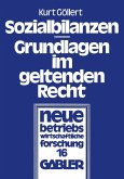 Sozialbilanzen (eBook, PDF)