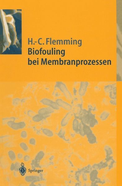 Biofouling bei Membranprozessen (eBook, PDF)