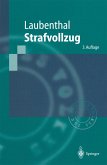 Strafvollzug (eBook, PDF)