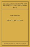 Projektive Ebenen (eBook, PDF)