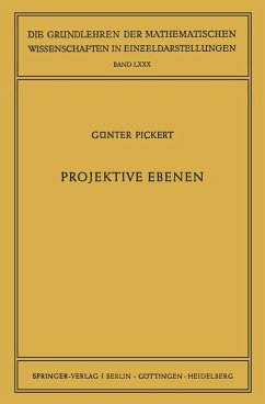 Cover Projektive Ebenen (eBook, PDF)