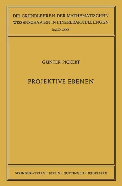 Projektive Ebenen (eBook, PDF)