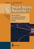 Shock Waves @ Marseille III (eBook, PDF) Shock Waves @ Marseille III (eBook, PDF)
