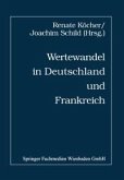 Wertewandel in Deutschland und Frankreich (eBook, PDF)