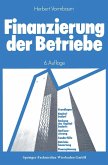 Finanzierung der Betriebe (eBook, PDF)