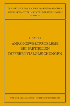 Anfangswertprobleme bei Partiellen Differentialgleichungen (eBook, PDF) - Sauer, Robert