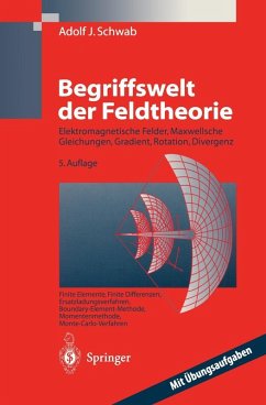 Cover Begriffswelt der Feldtheorie (eBook, PDF)