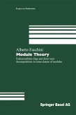 Module Theory (eBook, PDF)