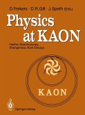 Physics at KAON (eBook, PDF)