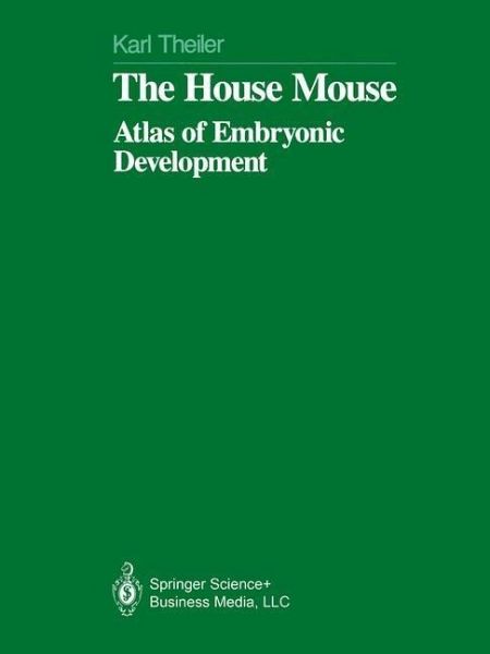 The House Mouse (eBook, PDF) The House Mouse (eBook, PDF)