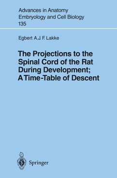 Cover The Projections to the Spinal Cord of the Rat During Development: A Timetable of Descent (eBook, PDF)