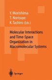 Molecular Interactions and Time-Space Organization in Macromolecular Systems (eBook, PDF)